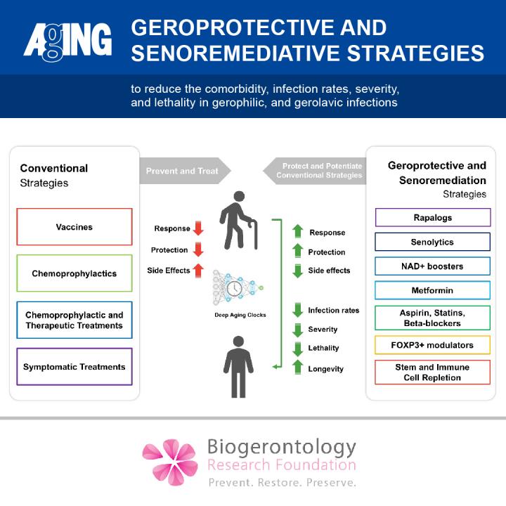 Geroprotective and Senoremediative Strategies