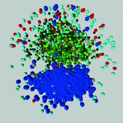 B Cells in the Germinal Centre of the Lymph Node