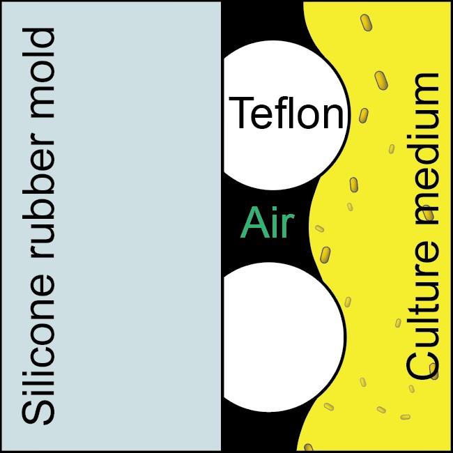 Superhydrophobic coating