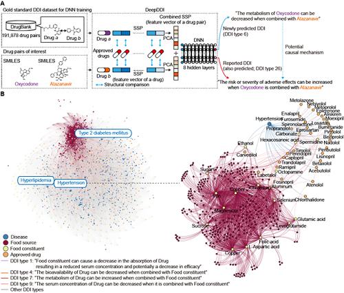 Figure 1. Overall Scheme of Deep DDDI and Prediction of Food Constituents