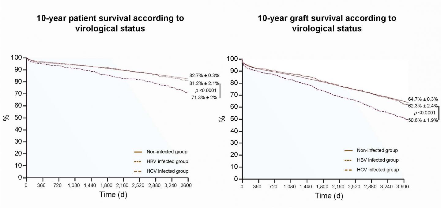 Antiviral Therapy Improves Survival Rates For Kidney Transplant Recipients With  Hepatitis B Or C