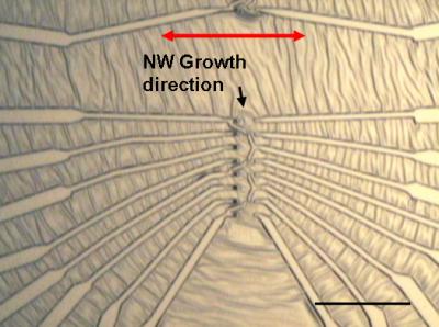 NIST Demos Industrial-Grade Nanowire Device Fabrication (1 of 2)