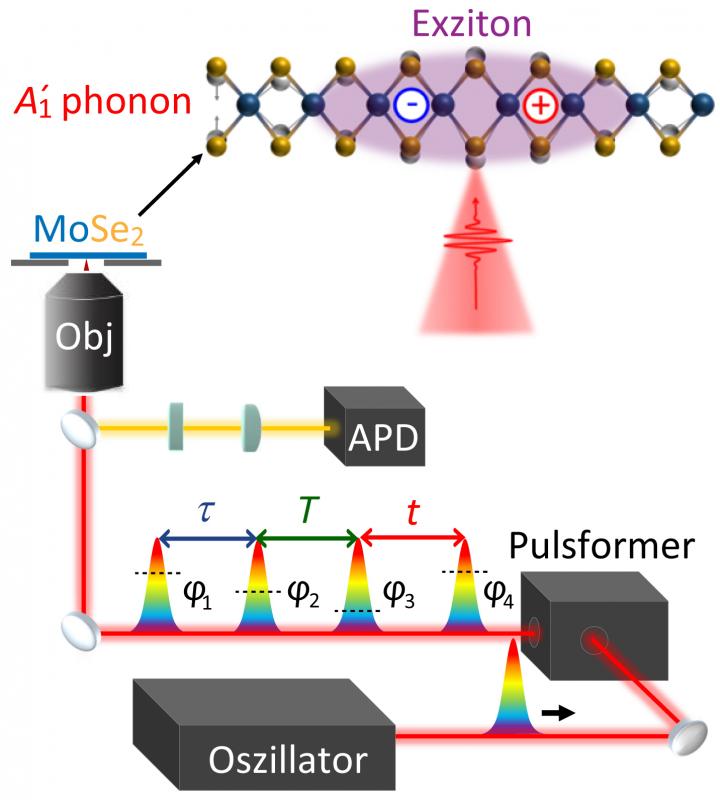 Coherent 2D Microscopy