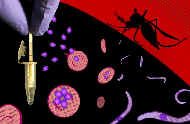 Ultrasensitive and species-sprecific CRISPR-based malaria diagnostic assay