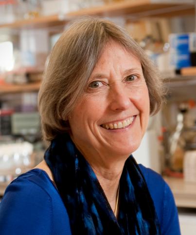 Nancy Kleckner, 2016 Thomas Hunt Morgan Medal Winner