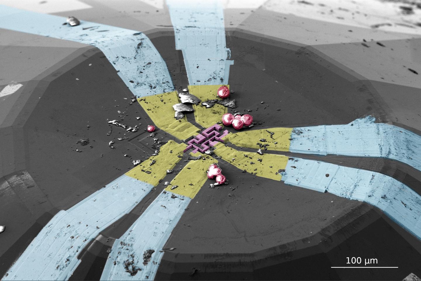 False-Color Electron Microscopic Image of a Microstructure