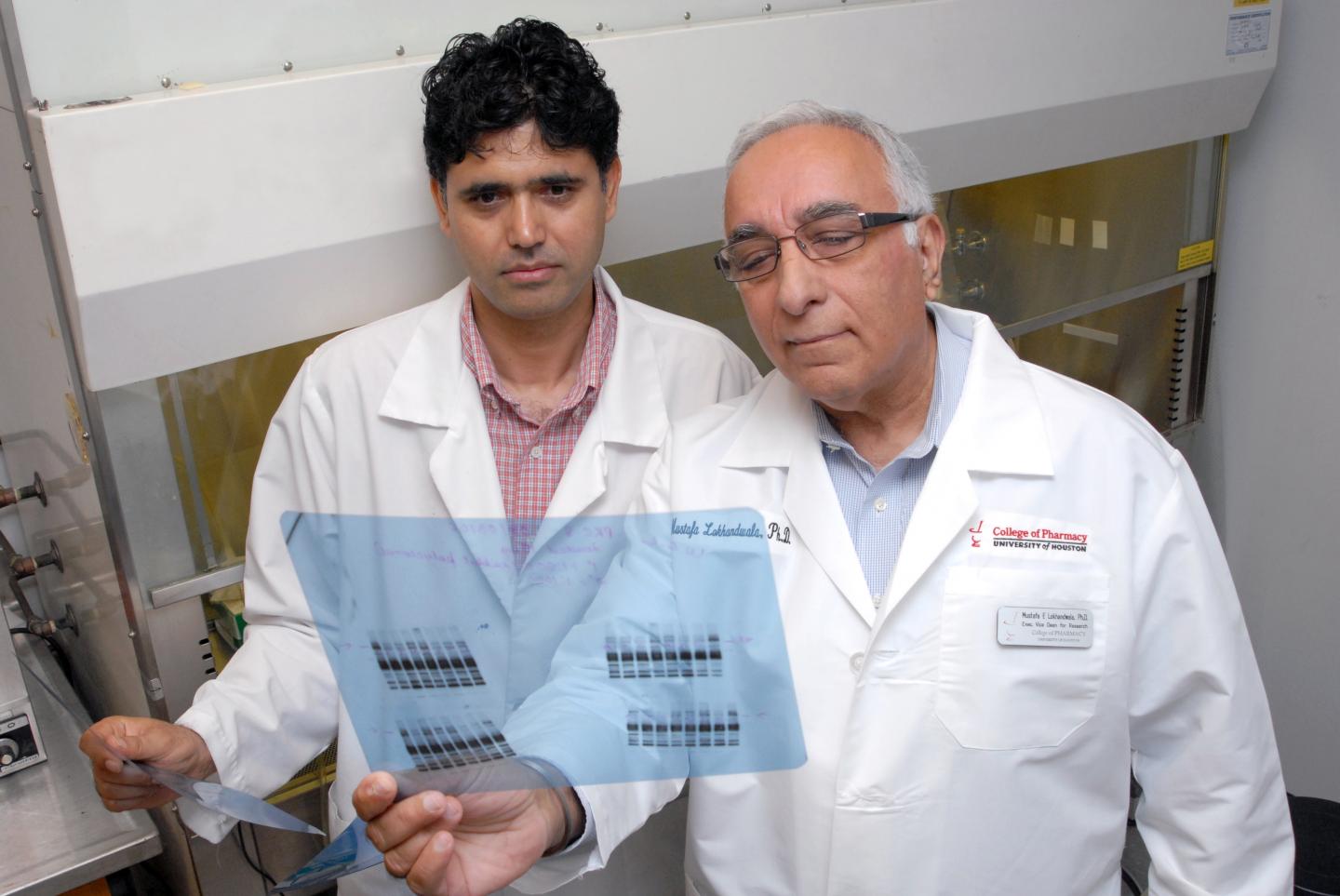 Anees A. Banday and Mustafa F. Lokhandwala, University of Houston