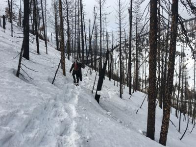 Forest Fires Accelerating Snowmelt across Western US, Study Finds (2 of 2)