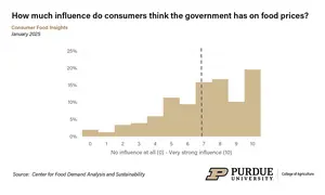 How much influence do consumers think the government has on food prices?