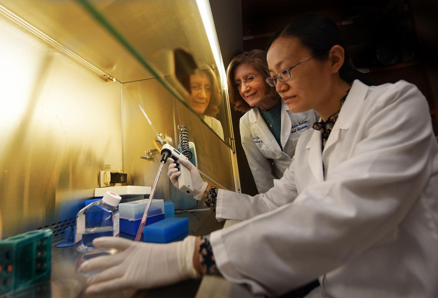 Sylvia Smith and Jing Wang (foreground), Medical College of Georgia at Augusta University