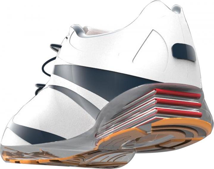 Shoe with Nanogenerator