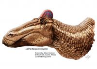 <i>Edmontosaurus regalis</i> Reconstruction
