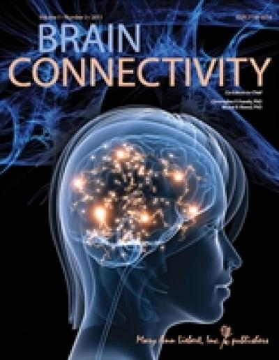 <I>Brain Connectivity</I>