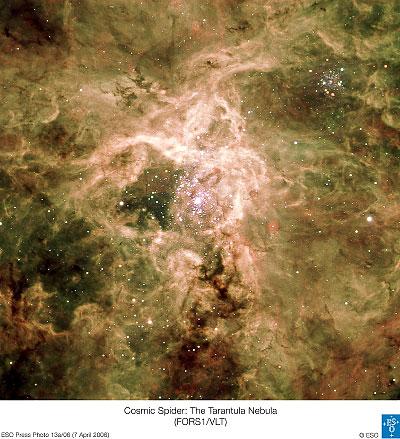 Cosmic Spider: The Tarantula Nebula
