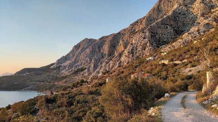 Habitat of Mirlatia arcuata in Podgora, Croatia