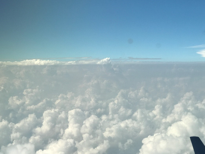 Cumulus clouds observed by airplane