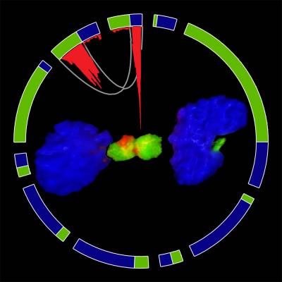 Graphic Representation of the Collaboration between Experimental and Computational Biology