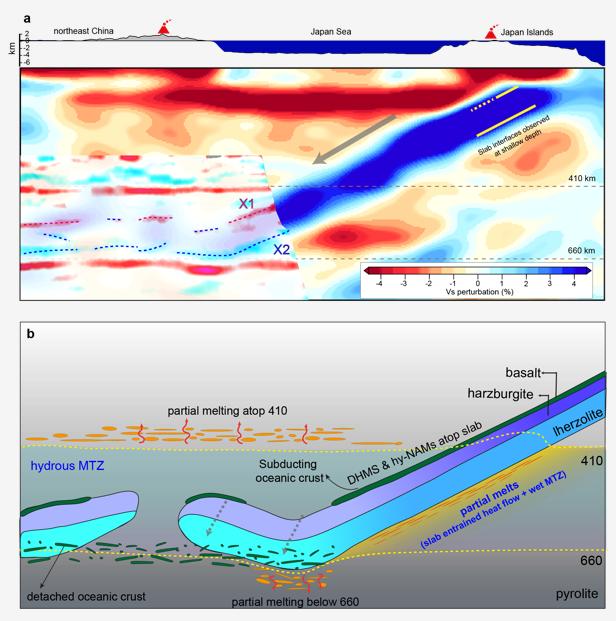 Seismic Observations 