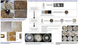 Bio-fabrication process for P. ostreatus mycelium-based composites