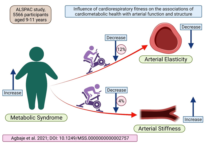 Influence of cardiorespiratory fitness on the associations of cardiometabolic health with arterial function and structure
