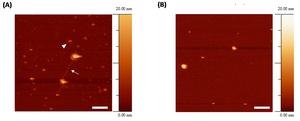 Imaging results