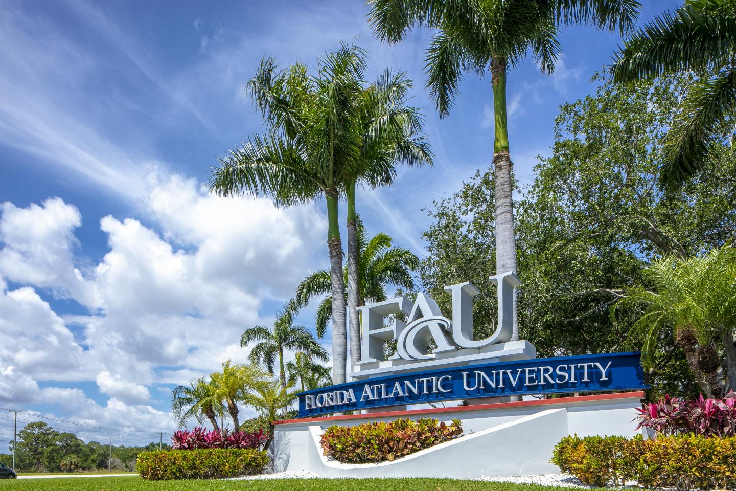 Four FAU Researchers Receive NSF CAREER Awards