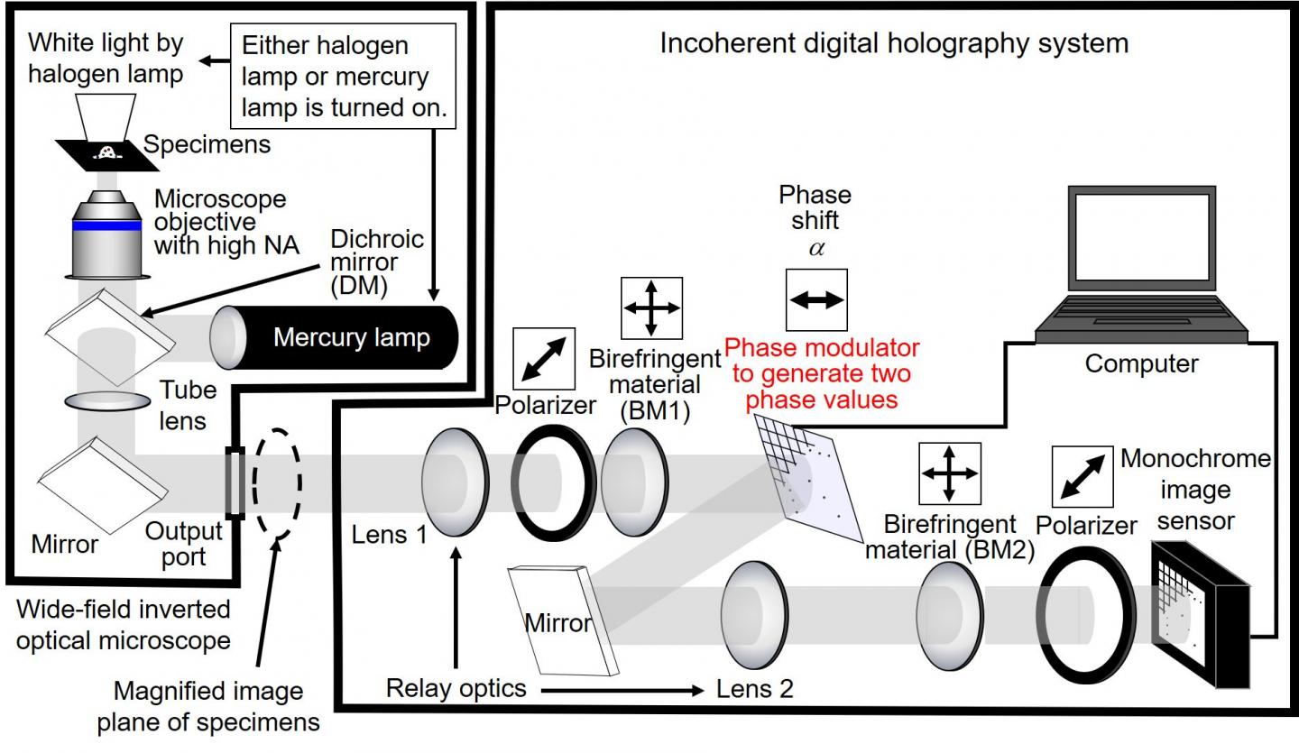 Figure 1 Image Eurekalert Science News Releases 