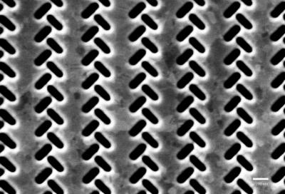 Micrograph of Herringbone Pattern