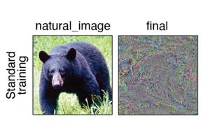 Neural network images