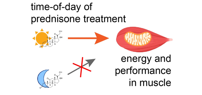 Graphical Abstract