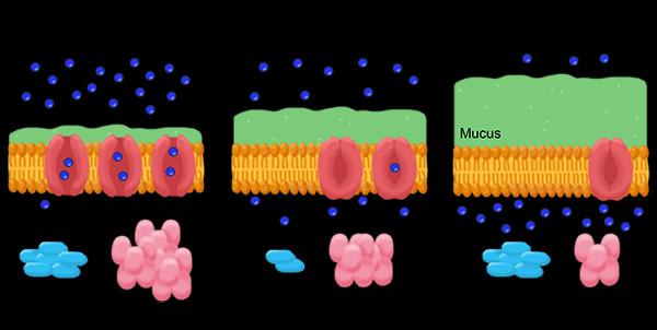 Cystic Fibrosis and RNF5 Graphic, Unveristy of California San Diego