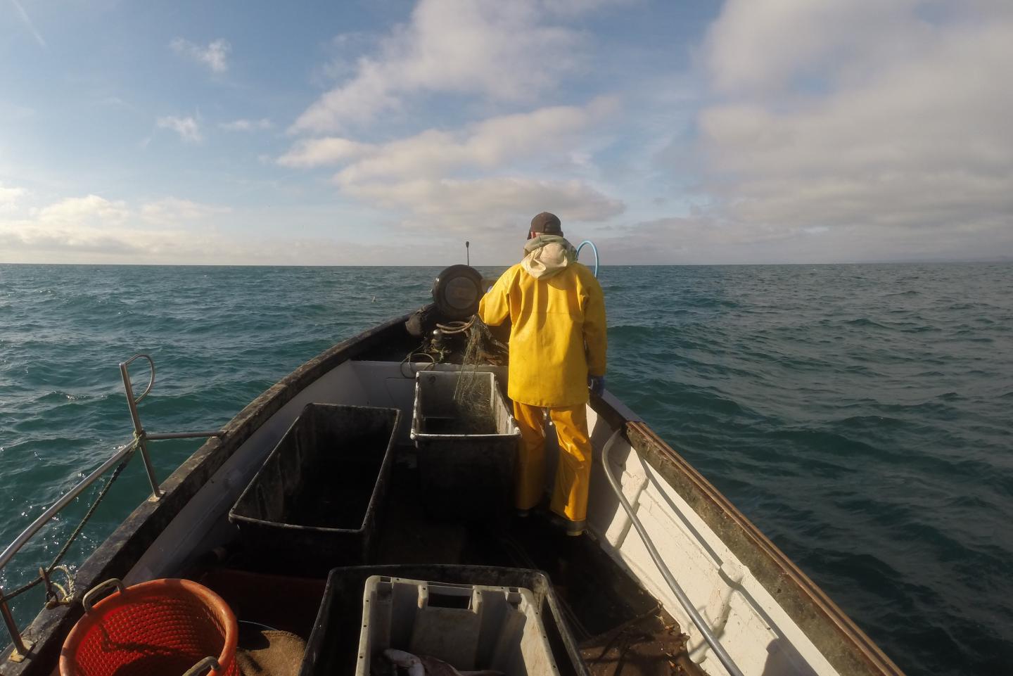 Hauling fishing gear