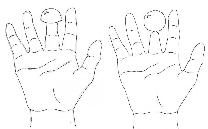Scientists Work Their Magic on 'Shrunken Finger Illusion'