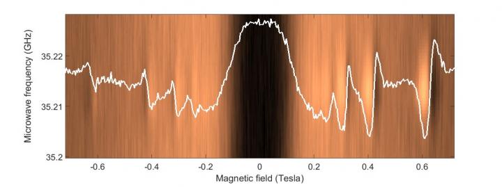 Graph Showing Effect of Polarization on Electrical Current