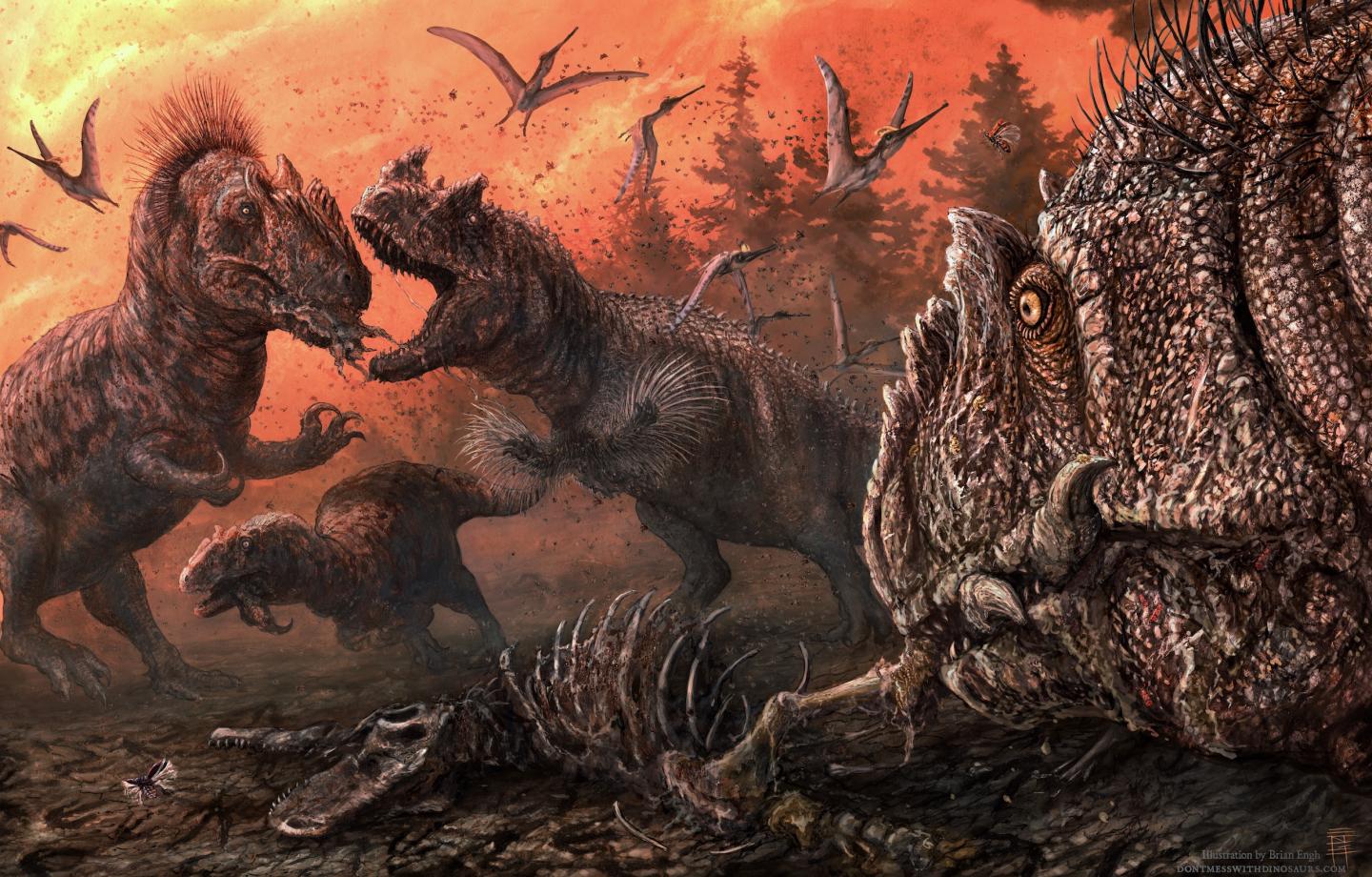 In Stressed Ecosystems Jurassic Dinosaurs Turned to Scavenging, Maybe even Cannibalism