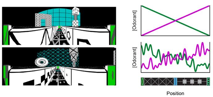 Olfactory Virtual Reality System