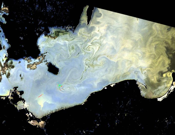Algae bloom in Baltic Sea, where extreme blooms are a significant problem