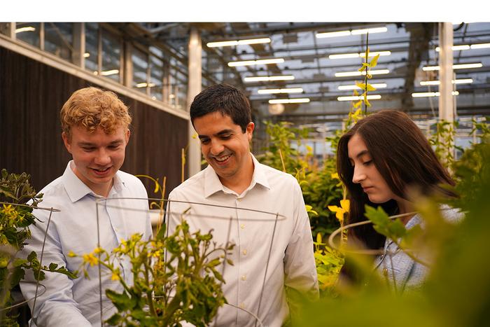 Armando Bravo, PhD, and lab members in a greenhouse