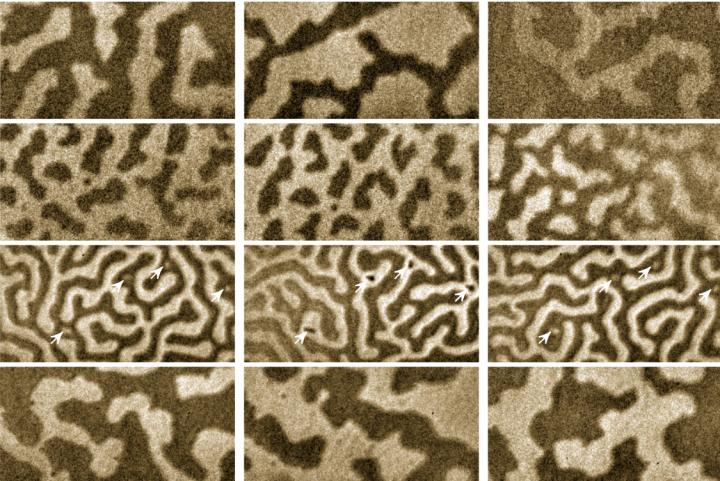 X-ray Images Bring Magnetic Effects Into Focus