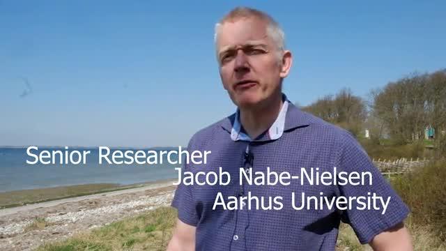 Jacob Nabe-Nielsen Explains the Model