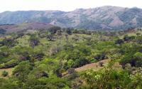 Small Patches of Tropical Dry Forest on Hills