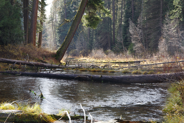 Tributary off Upper Klamath Lake