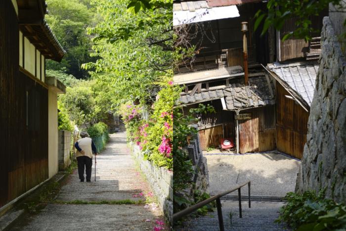 Snapshots of rural Japan