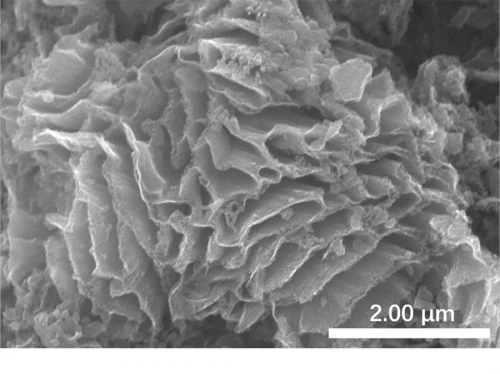Sodium-Embedded Carbon