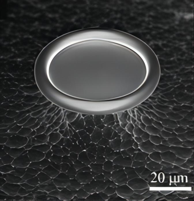 Basic structure of optical microcavities: Fabry-Perot microcavities and whispering gallery mode microcavities