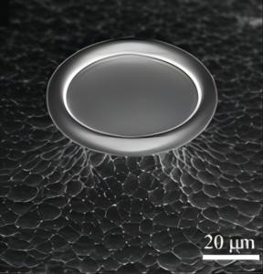 Basic structure of optical microcavities: Fabry-Perot microcavities and whispering gallery mode microcavities