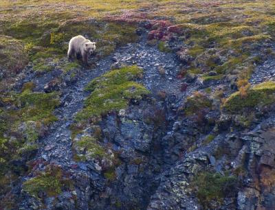 NGEE Test Site near Barrow, Alaska