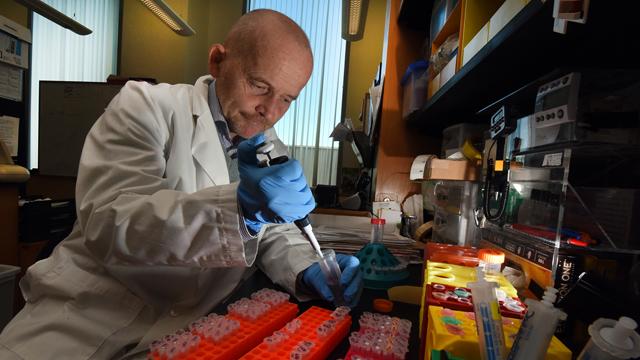 Senior Photographer at Augusta University