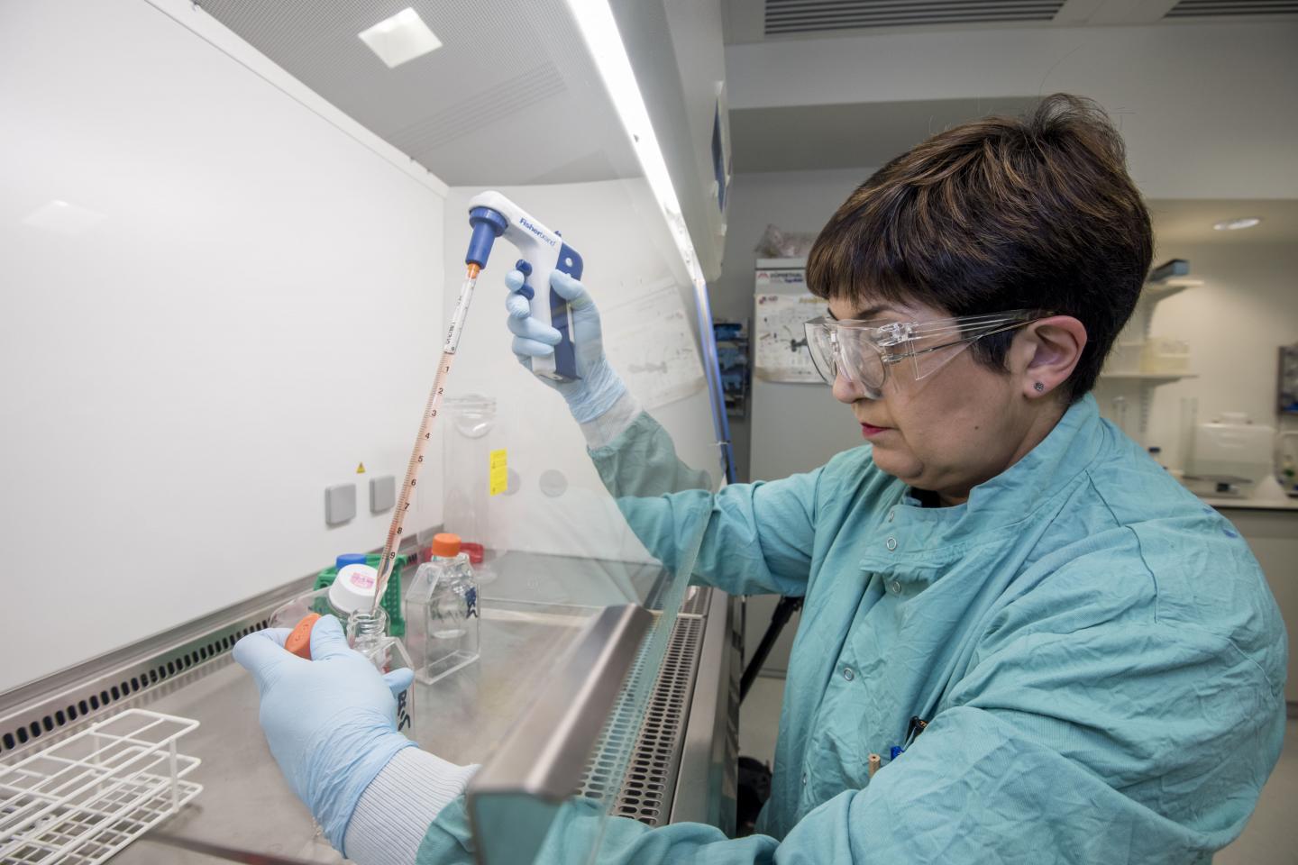 Sarah Warnes, University of Southampton