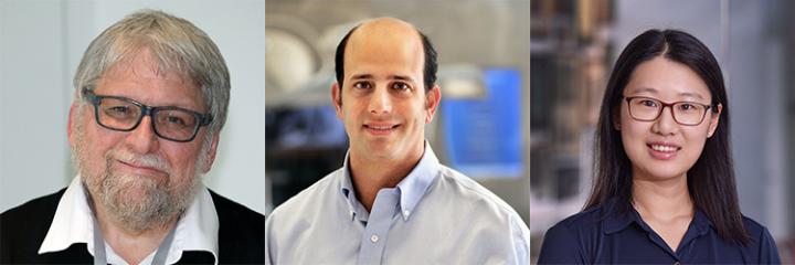 The First and the Corresponding Authors of This Work